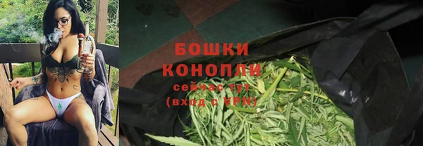 ПСИЛОЦИБИНОВЫЕ ГРИБЫ Алзамай