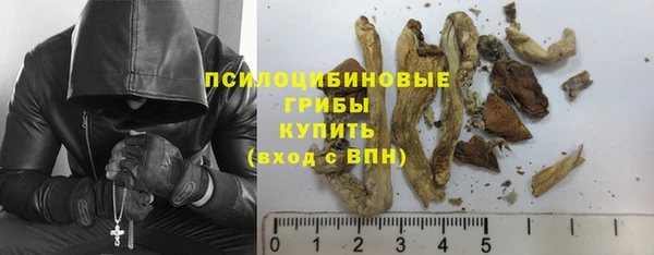бошки Абдулино