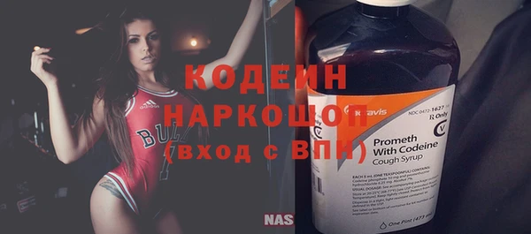трава Осинники