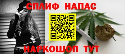 PSILOCYBIN Донской