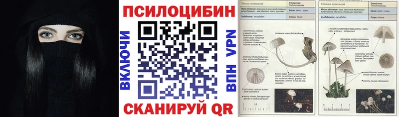 Псилоцибиновые грибы Psilocybine cubensis  Майский 